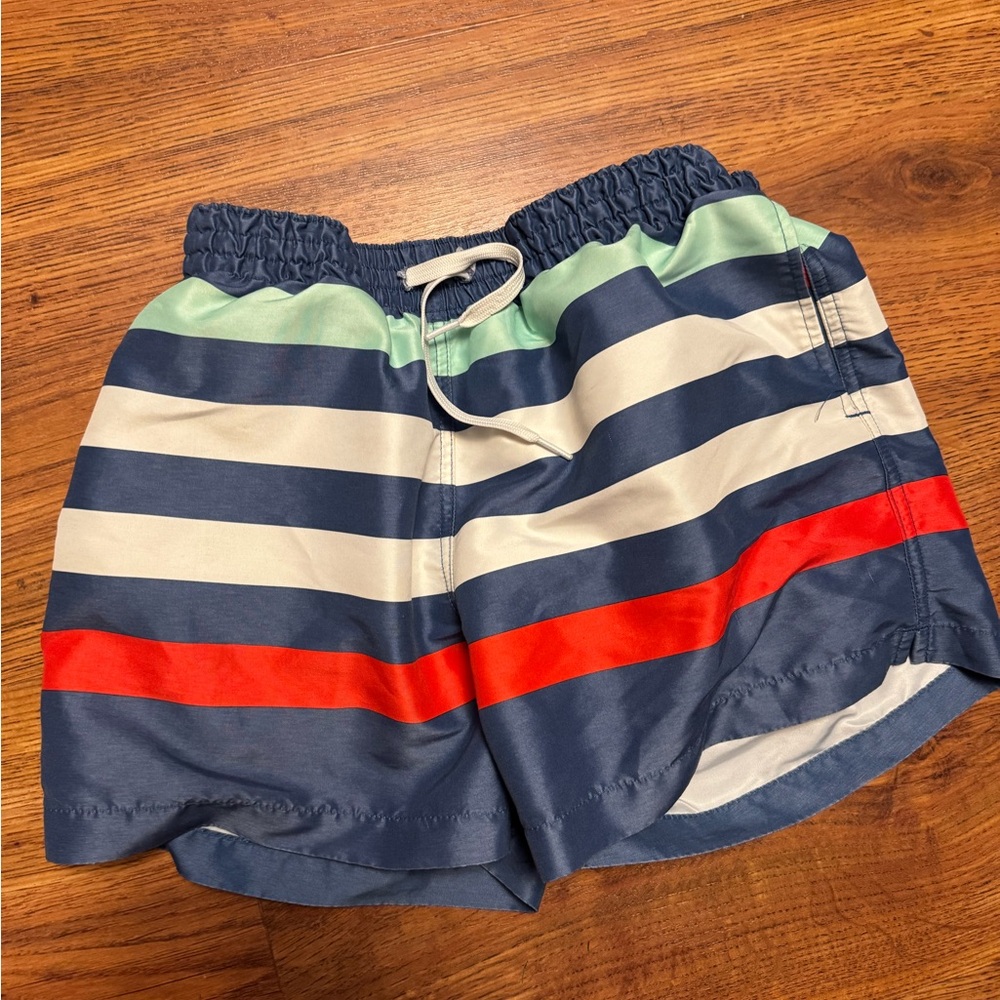 Chubbies Striped Swim Trunks - 4” Inseam